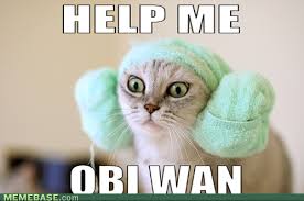 Lol Star Wars Kitty Help Me Obi Wan Star Wars Memes Crazy Cats