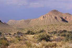 Desierto De Chihuahua Caracteristicas Relieve Flora Fauna
