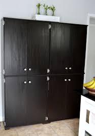 Bookcase To Pantry Adding Doors Kitchen Furniture Storage Diy Cabinet Doors Cheap Bookcase