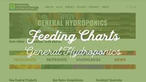 Feeding Charts Peterborough Hydroponic Centre