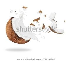 Broken Coconut With Milk Splash Isolated On White Background Milk Splash Coconut White Background Images