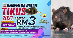 Petaling@selangor.gov.my::hakcipta ©2013 pejabat daerah tanah petaling:: Rm3 Will Be Paid For Every Rat Caught Dead Or Alive Mdks