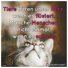 Spruche Fur Tierliebhaber Spruch Katze Katzen Zitate Spruche Zitate Leben