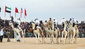 Five different types of coupons include joe camel are dated starting in the 80's. Hd Wallpaper Tunisia Camel Racing Douz Bedouin Animal People Flag Wallpaper Flare
