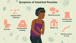 5 Natural Remedies For Intestinal Parasites