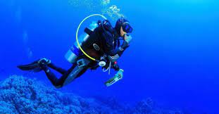 Scuba diving is an excellent way to see some very beautiful sites: Fun Diving Diving Center