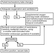 Tracheostomy Tubesdiscussion Respiratory Care