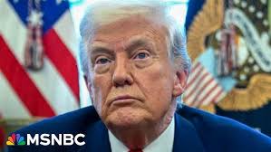 OLIP Corinne Prince St Amand