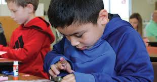 Students organize projects to help, learn