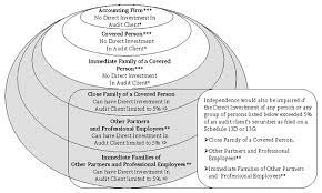 Auditing firms, external auditors, valuers and credit rating agencies. Appendix C 34 42994 S7 13 00