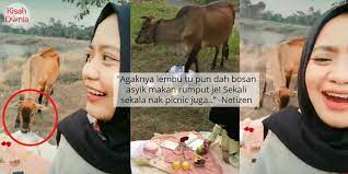 Piknik Bertukar Panik Geng Perempuan Kalut Lari Disergah Tetamu Bertanduk Piknik Pesiar Lari