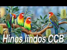 Listen to hinos cantados, vol. Descargar Ccb Hinos Cantados Hinos Ccb Cantados Hinario
