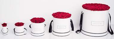 We did not find results for: Behind The Brand Fleurs De Paris