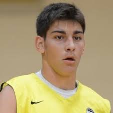 Dylan Painter, Delaware, Small Forward