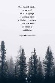 Nature Quotes For The Wandering Soul In 2020 Nature Quotes Mother Nature Quotes Nature Quotes Inspirational