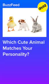 Which Cute Animal Matches Your Personality Cute Animals Animals Personality