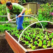 Raised Garden Bed Easy Diy Steps To Build An Elevated Planter Sunset Building A Raised Garden Garden Beds Raised Garden