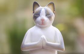 Consigli E Tecnica Per La Meditazione Pratica Per Serenita E Gioa