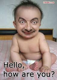 The funnypicture.org team has gone above and beyond the call of duty to find some of the funniest wallpapers on the planet. Funny Pics Funny