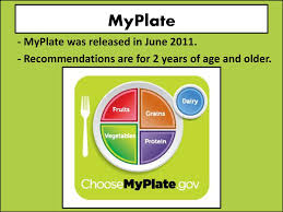 Myplate Myplate Was Released In June Ppt Download