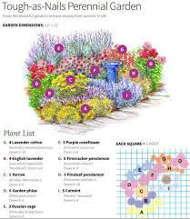 Tough As Nails Perennial Garden Plan Gardening Perennial Garden Plans Flower Garden Plans Perennial Garden