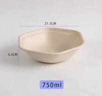 Eco Friendly Disposable Food Container Bagasse Sugarcane ...