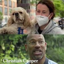 FIRED:‼️Amy Cooper, the white woman that called the police