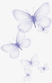 Transparent Butterfly Png Clipart Picture Butterflies Png Transparent Png 1422x2057 Free Download On Nicepng Monarch butterfly graphy common blue, butterfly png. transparent butterfly png clipart