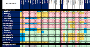 antibiotics activity spectrum printable