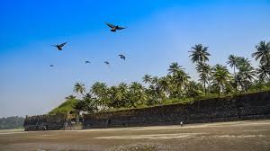 Best Guide For Revdanda Beach Camping ...