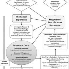 After treating prostate cancer with surgery or radiation, psa levels are monitored. Pdf Fear Of Cancer Recurrence A Theoretical Review And Novel Cognitive Processing Formulation