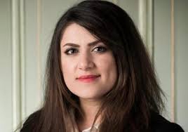 Introduction to the Inquiry Team