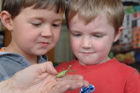 Creepy-crawly visitor unwelcome