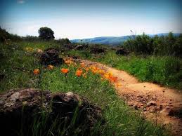 Sonoma Overlook Trail - Sonoma County Tourism