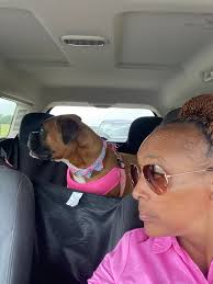 Wishing Happy Easter to Group Members