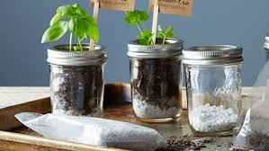 Make also adorably cute mason jar herb gardens at home that everyone will love to look at twice! Charming Planters For Kitchen Herb Gardens This Old House