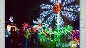 Maybe you would like to learn more about one of these? The Oregon Garden Christmas In The Garden Katu