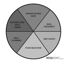 the 6 keys to a successful diet plan physiqonomics