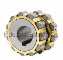 RN307M Eccentric Cylindrical Roller Bearing, Bore Size: 35 mm