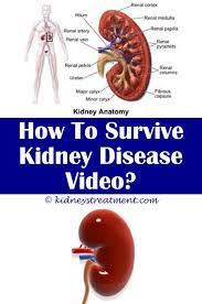 Kidney Cleanse Diy Kidney Failure Treatment Kidney Disease Diet Kidney Disease Symptoms