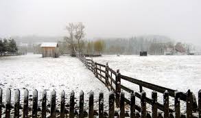 Prima ninsoare a acestui an la cluj, la munte, în această dimineață. ZÄpadÄ La Vatra Dornei La Munte A Nins In Luna Aprilie 2017