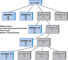 working with ip addresses brain knowledge