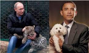 Russia just made it illegal to publish meme's that portray a public figure in any way that is unlike them. Kremlin Mocks Obama S Masculinity By Tweeting Picture Of Him Holding A Poodle Next To Putin Petting A Leopard Daily Mail Online