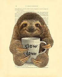 Sloth pic from costa rica. Cute Baby Sloth With Coffee Mug Slow Down Quote Digital Art By Madame Memento