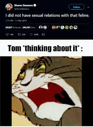 What About Last Night Memes Viral Trends Funny Meme Twitch Kappa Marvel Memes Memes Funny Pictures