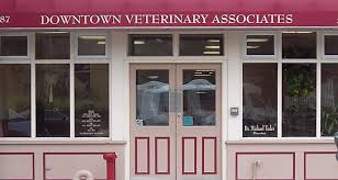 We are proud to be an accredited member of the american animal hospital association since 1999. Veterinarians In Jersey City Nj Animal Hospital In Jersey City Nj