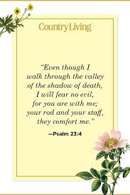 Check spelling or type a new query. Bible Verses About Death Verses About Life After Death