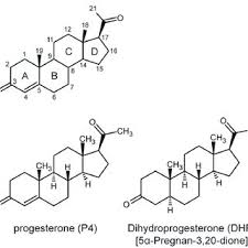 Image result for Pregnane Progestin