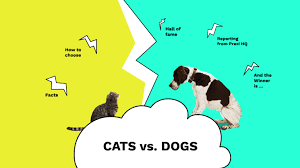 You see, cats and dogs have fundamentally opposite personalities that can naturally lead to very different relationships with their humans. Cats Vs Dogs Prezi Presentation Prezi Presentation Prezi Cats