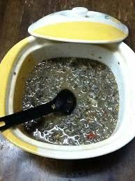 Cari di kelopak biji yg dah hitam. Kenal Buah Kantan Tak Selalu Stevia Pemanis Semulajadi Facebook